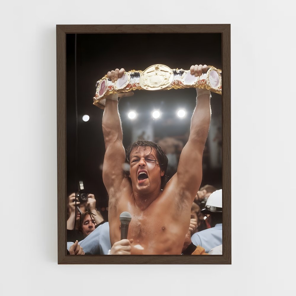 ap-rocky balboa-6 cadre Bois foncé