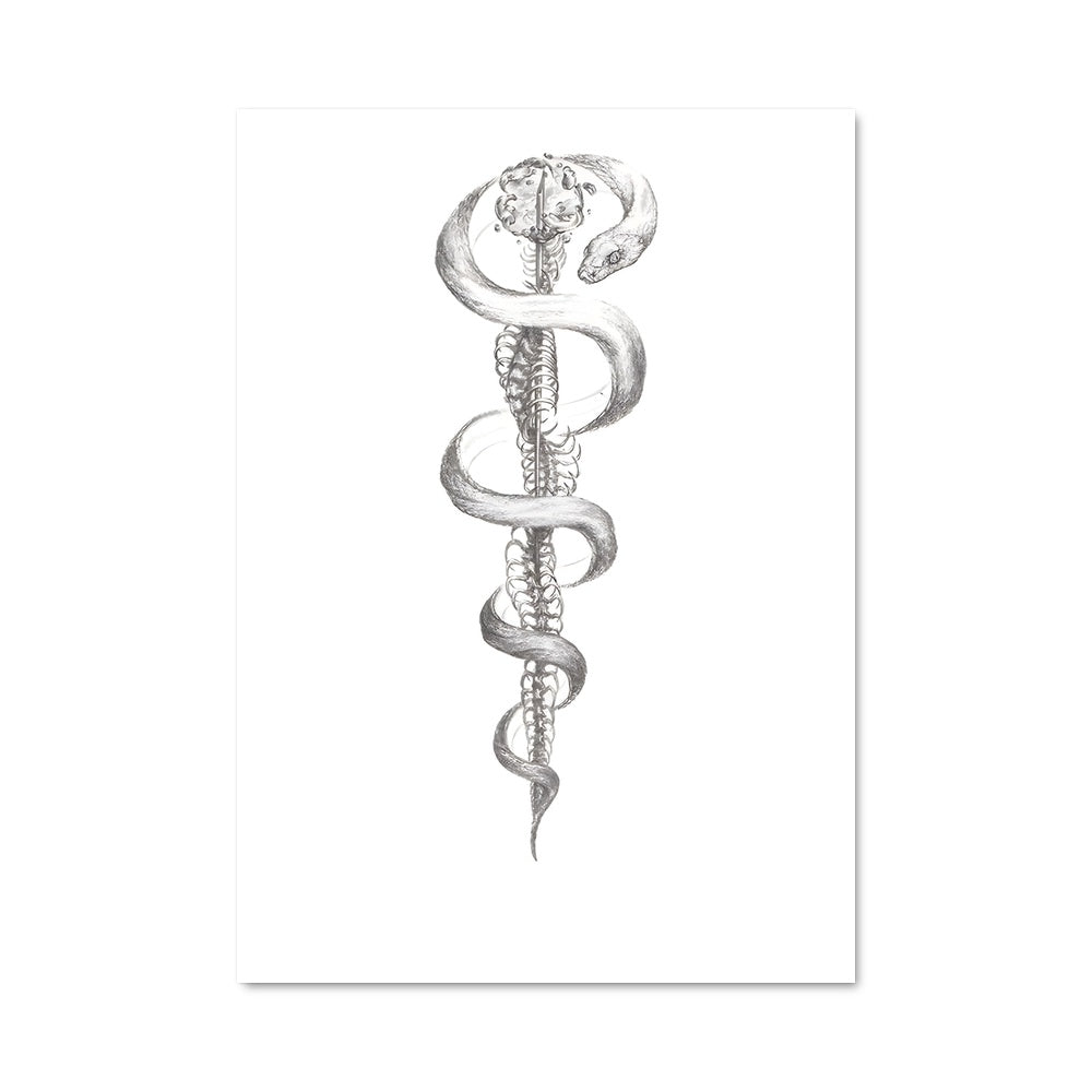Poster Symbole de la Santé