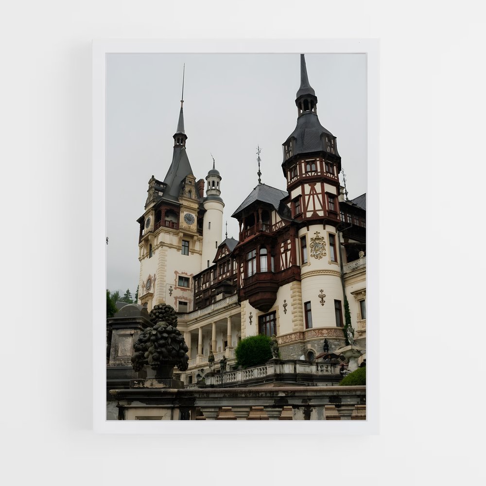 ap-romania-1 cadre Blanc