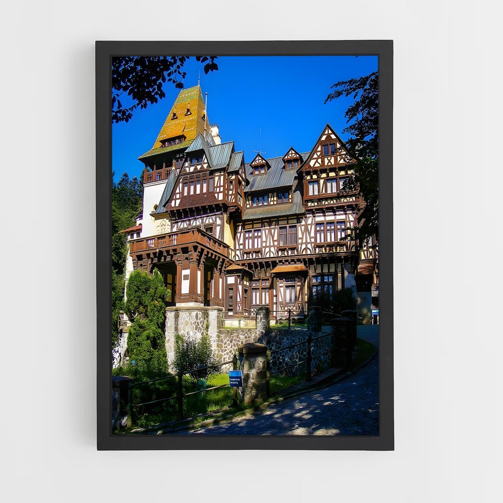 ap-romania-8 cadre Noir