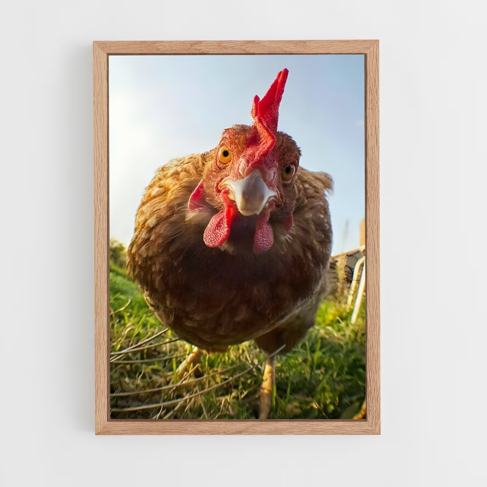 ap-rooster-3 cadre Bois clair