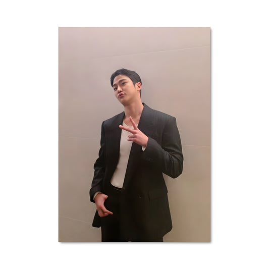 Poster Rowoon 49439