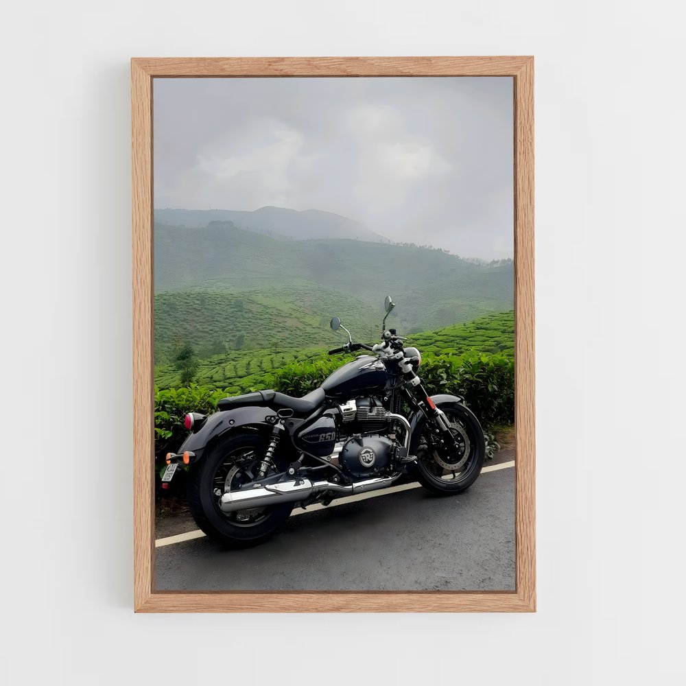 ap-royal enfield-1 cadre Bois clair