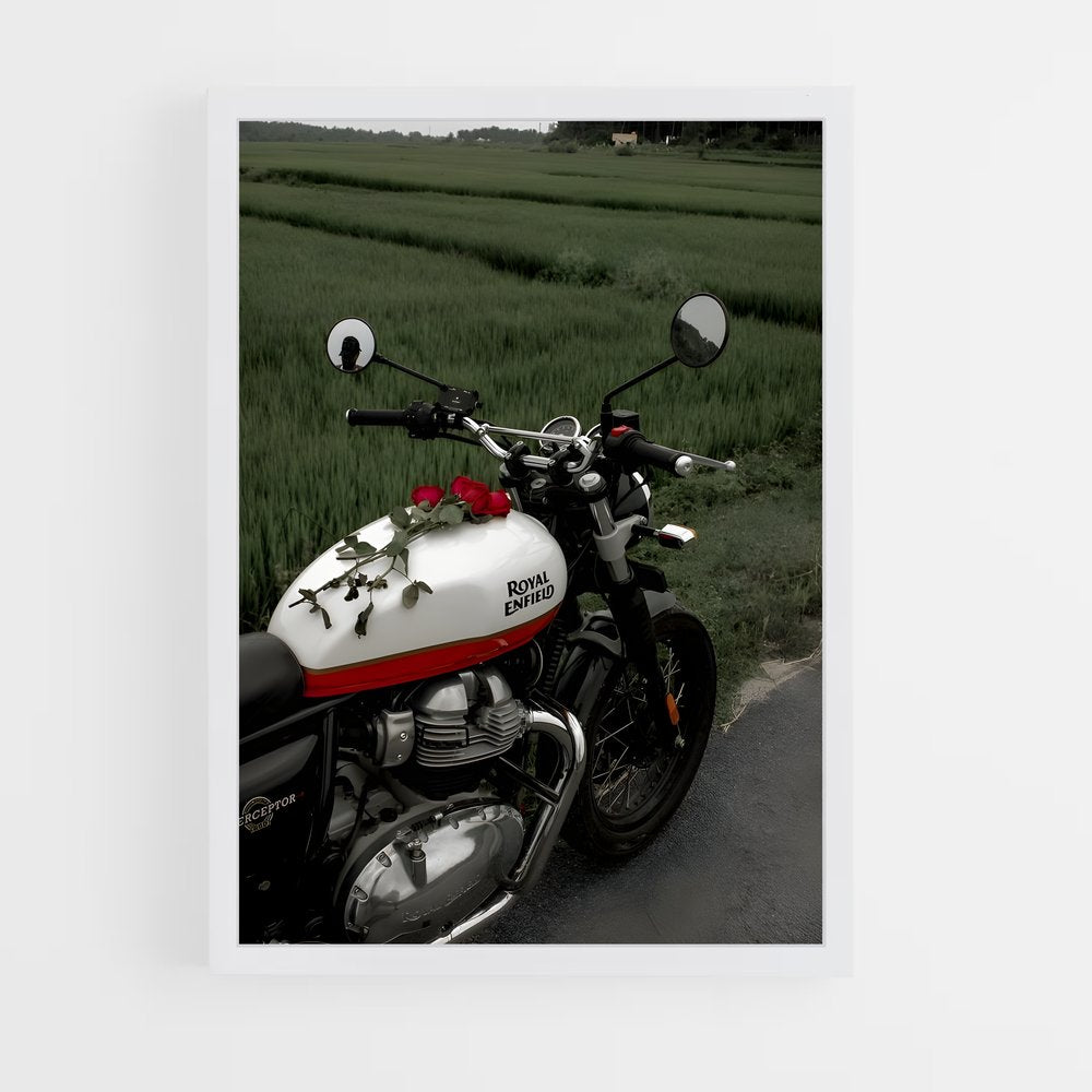 ap-royal enfield-10 cadre Blanc