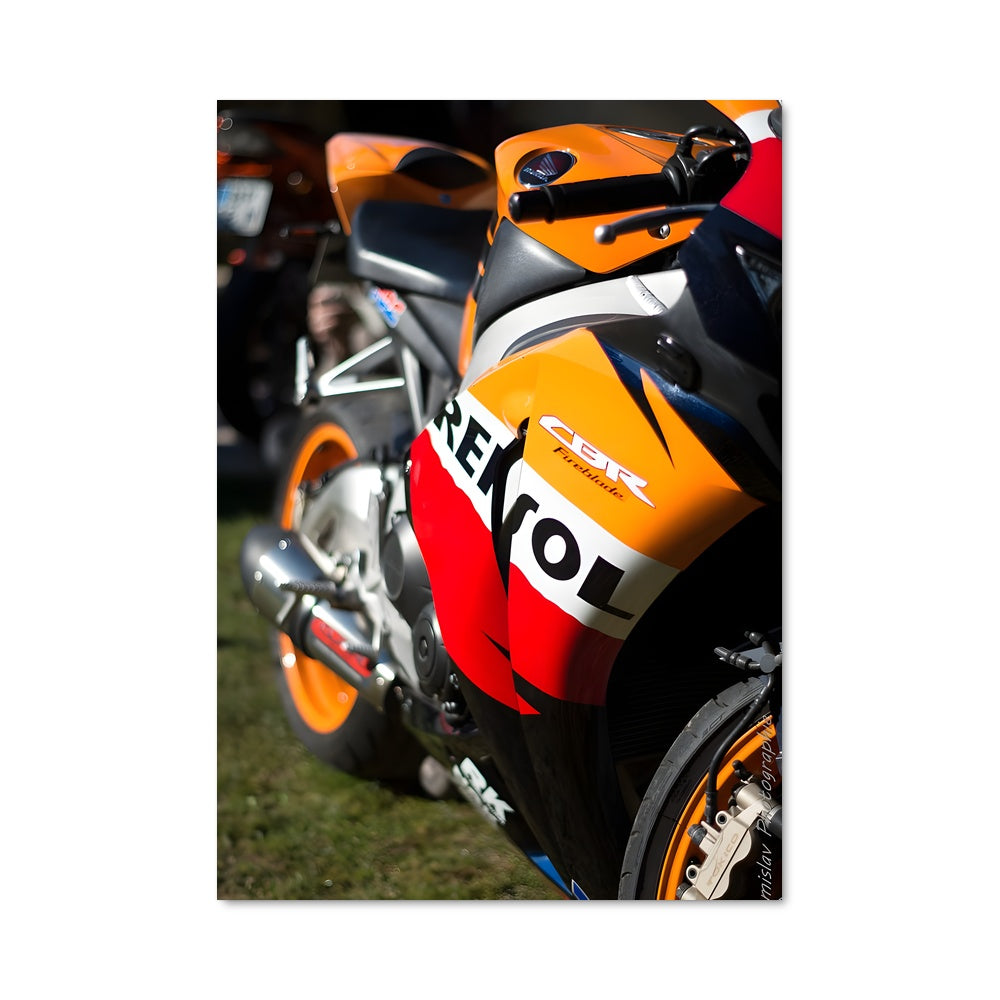 Poster Riders of the Grass