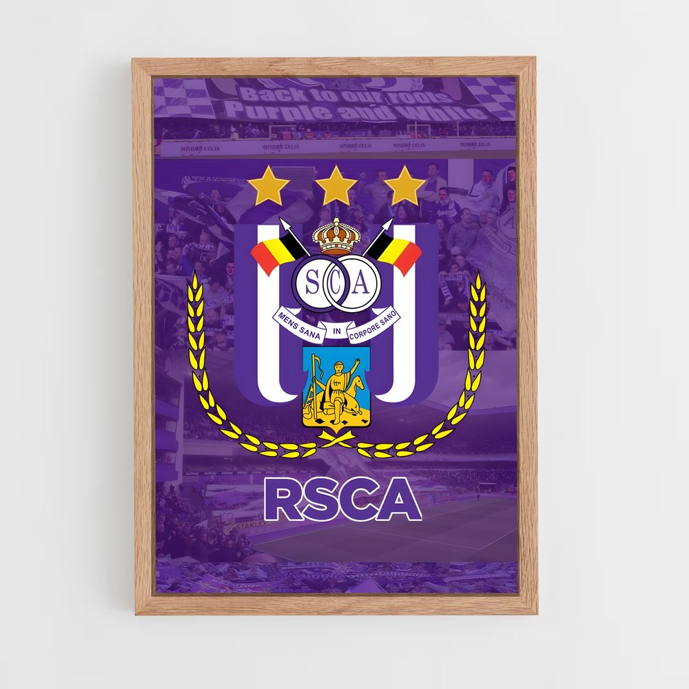 ap-rsc anderlecht-1 cadre Bois clair