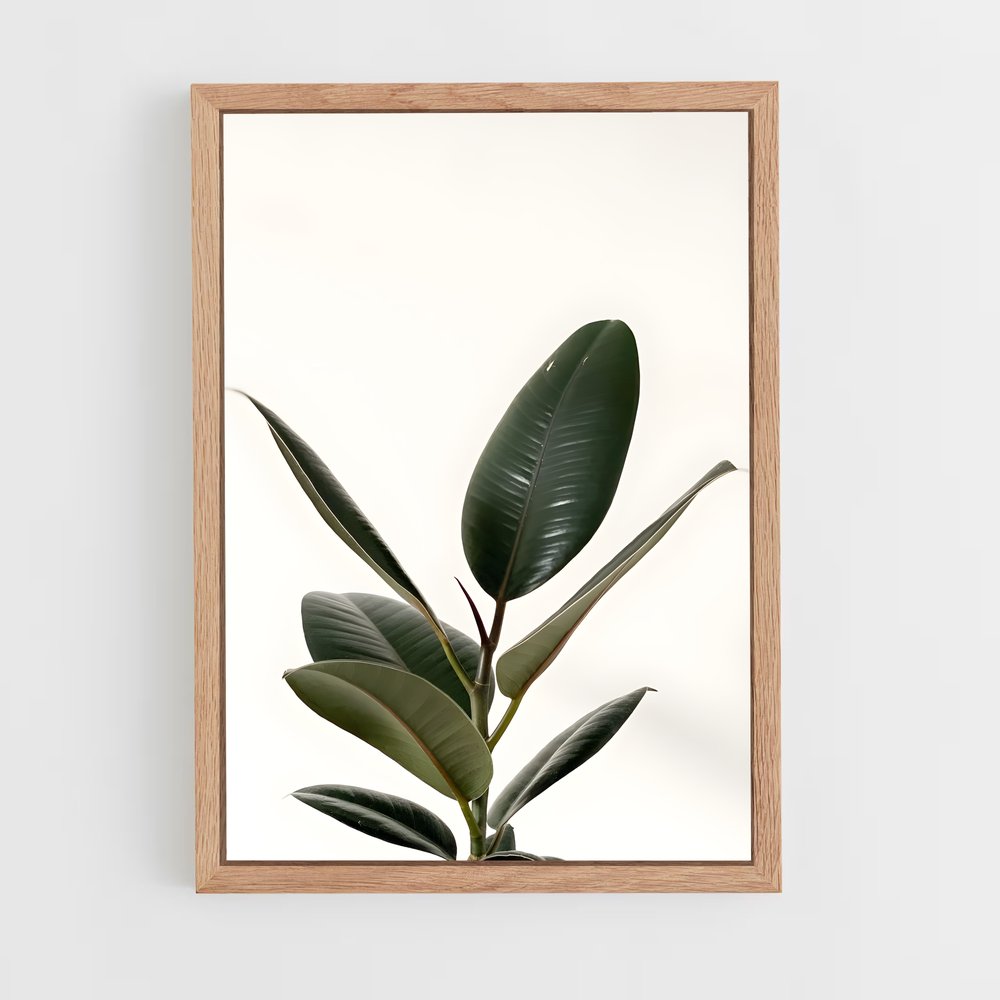 ap-rubber plant-1 cadre Bois clair