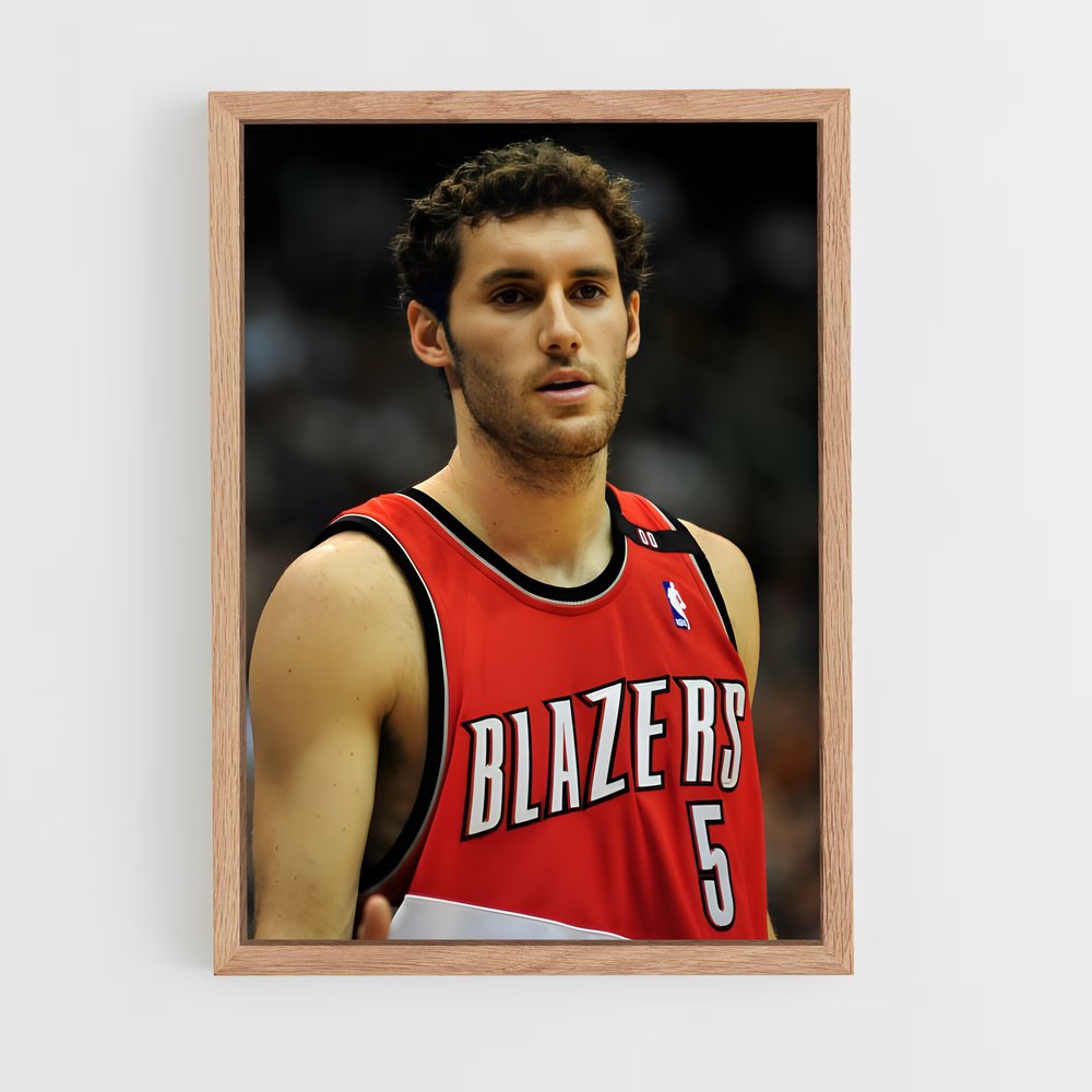 ap-rudy fernandez-2 cadre Bois clair
