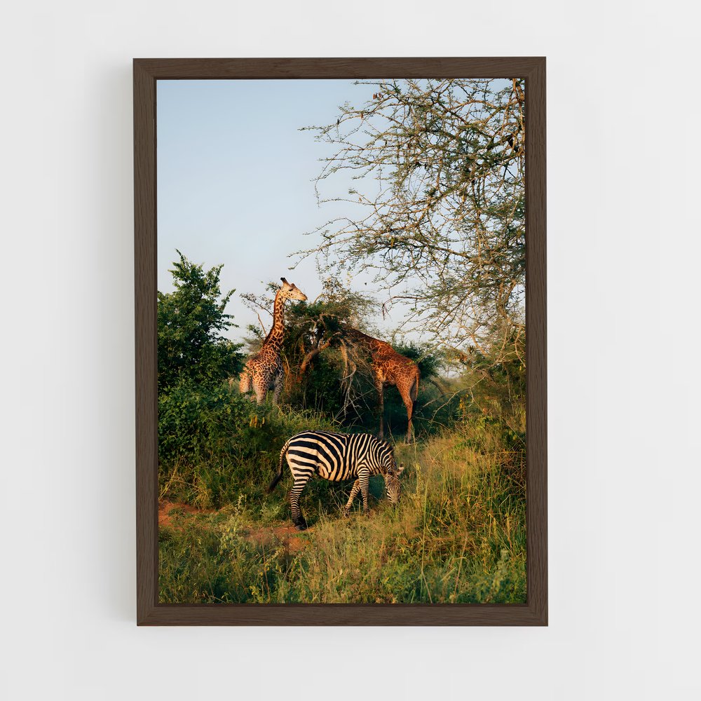 ap-rwanda-6 cadre Bois foncé