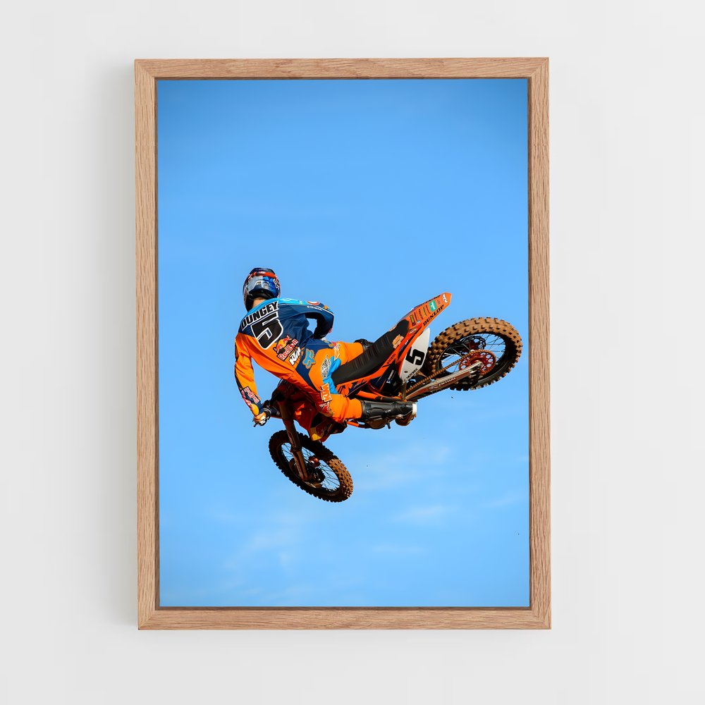 ap-ryan dungey-2 cadre Bois clair