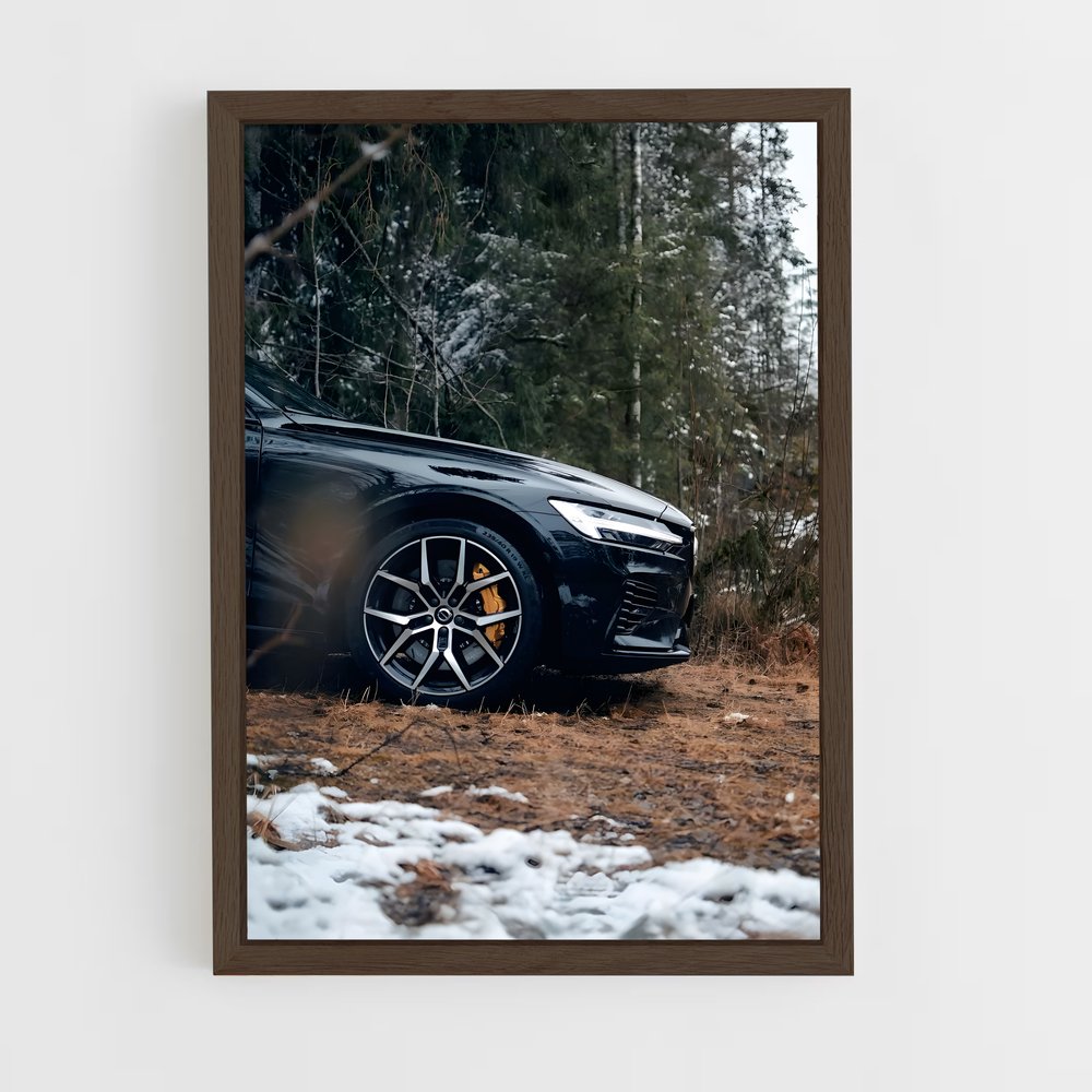 ap-s60 polestar-2 cadre Bois foncé