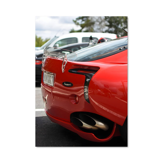 Poster Sagaris 79788