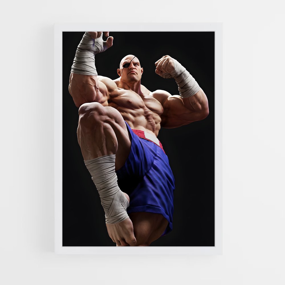 ap-sagat-1 cadre Blanc