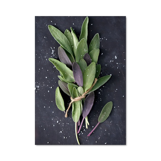 Poster Feuilles de Sage