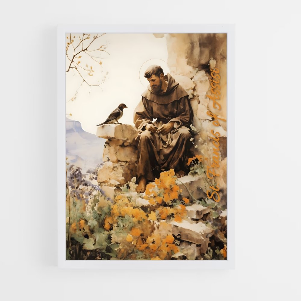 ap-saint francis-5 cadre Blanc