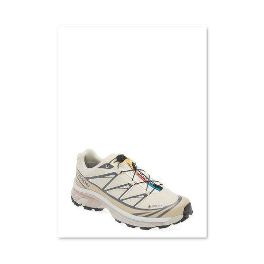 Poster Salomon 23203