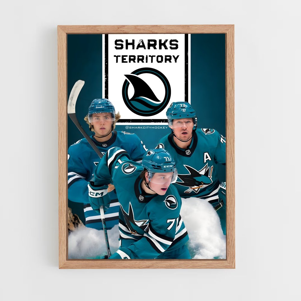 ap-san jose sharks-5 cadre Bois clair
