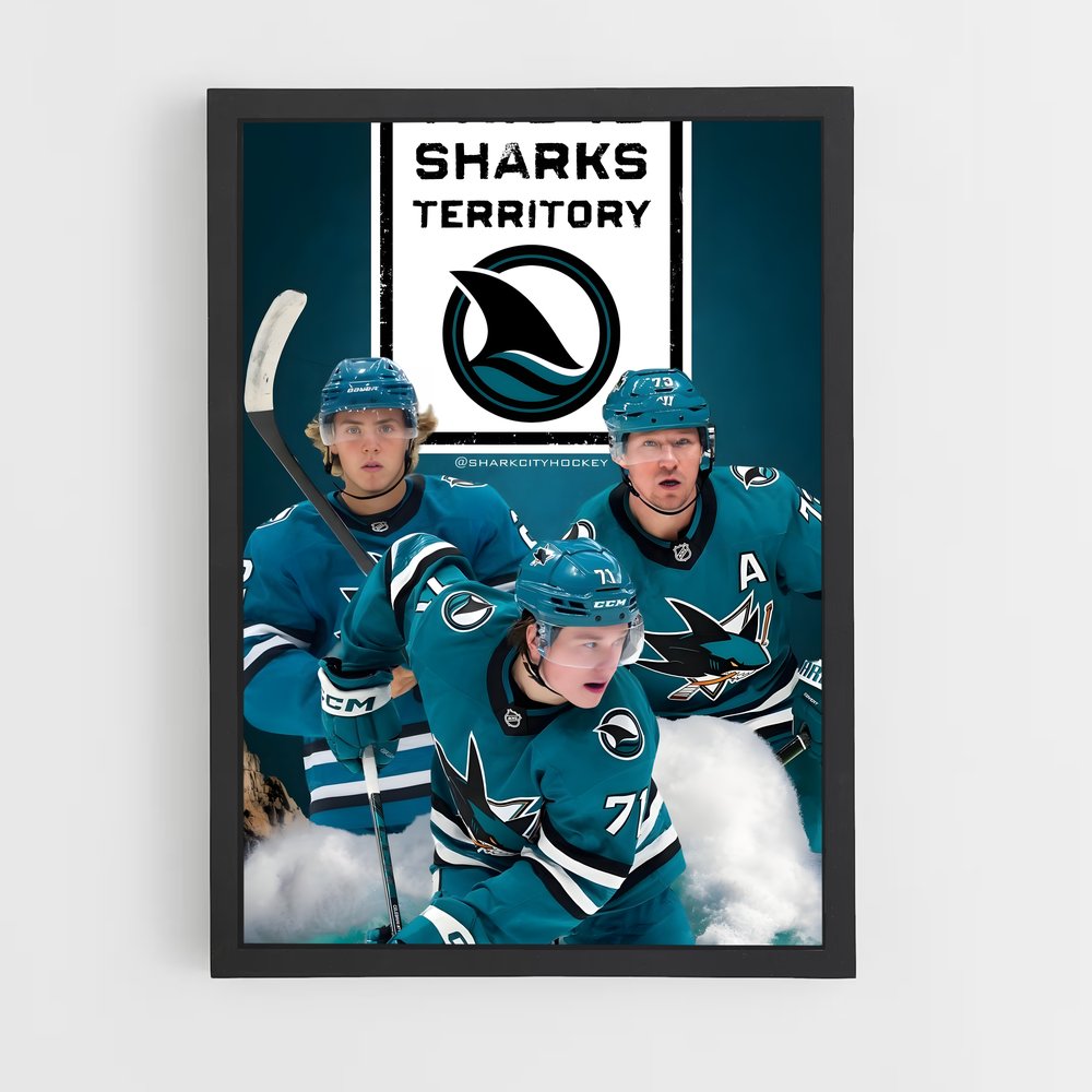 ap-san jose sharks-5 cadre Noir