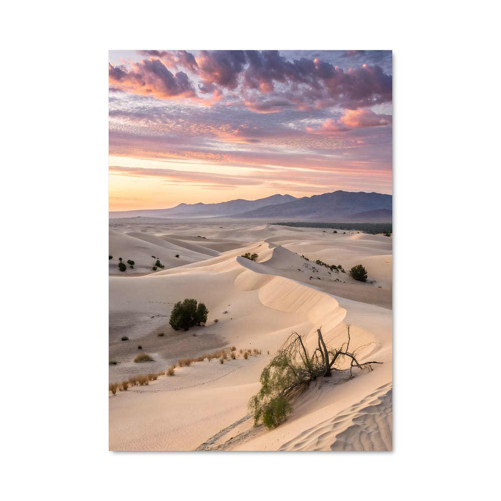 Poster Dunes ensoleillées