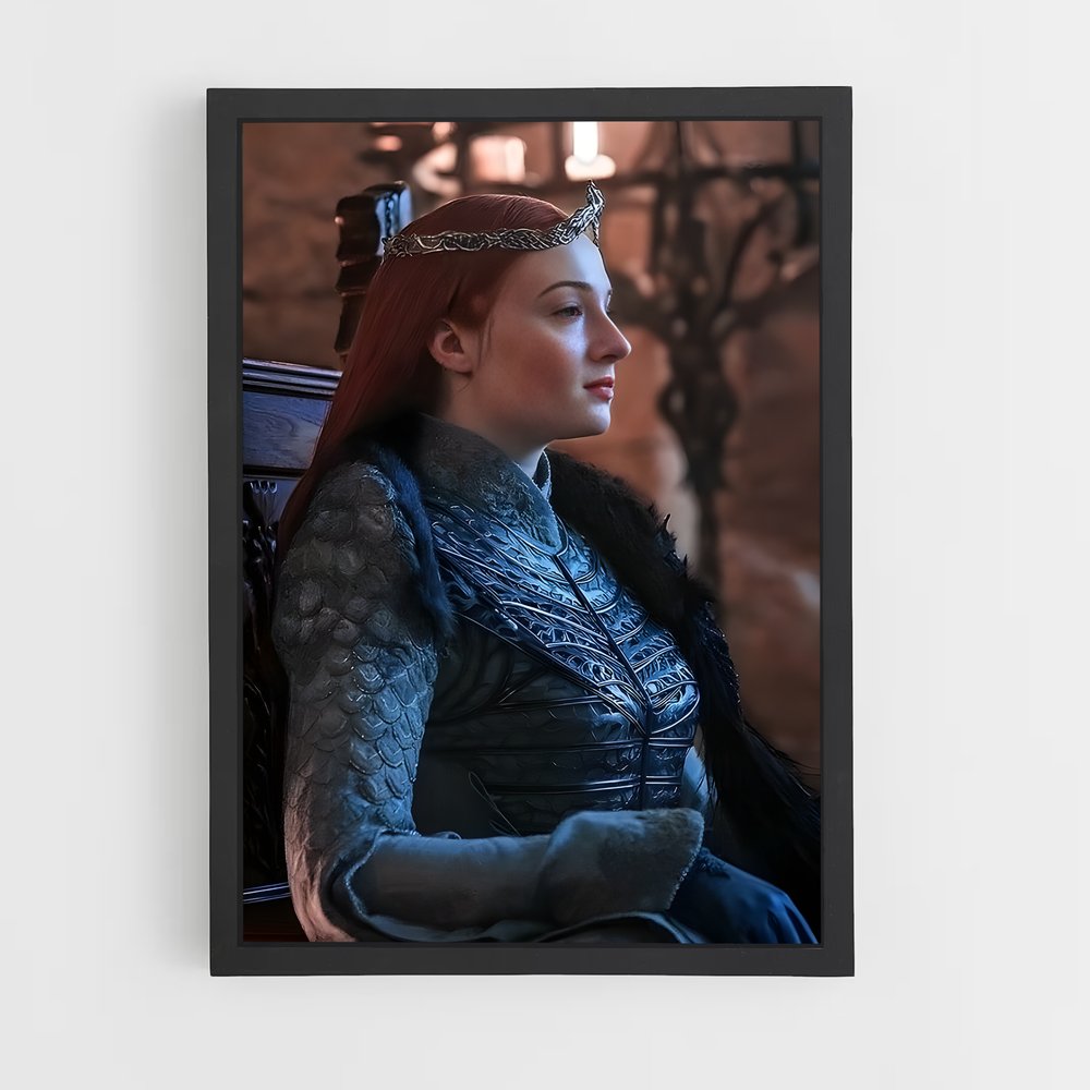 ap-sansa stark-9 cadre Noir