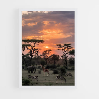ap-savanna-4 cadre Blanc