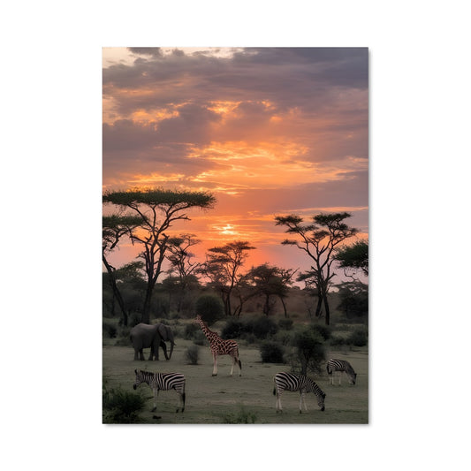 Poster Savanes Rayées