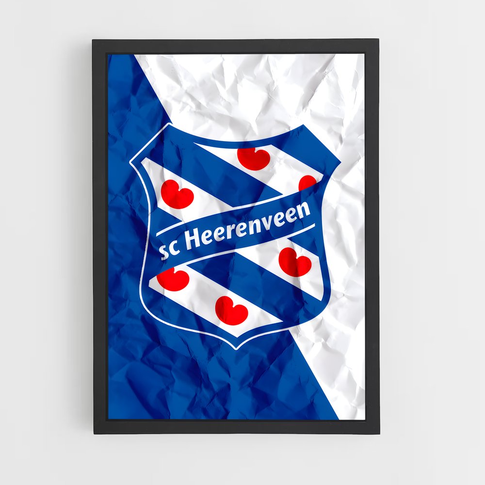 ap-sc heerenveen-2 cadre Noir