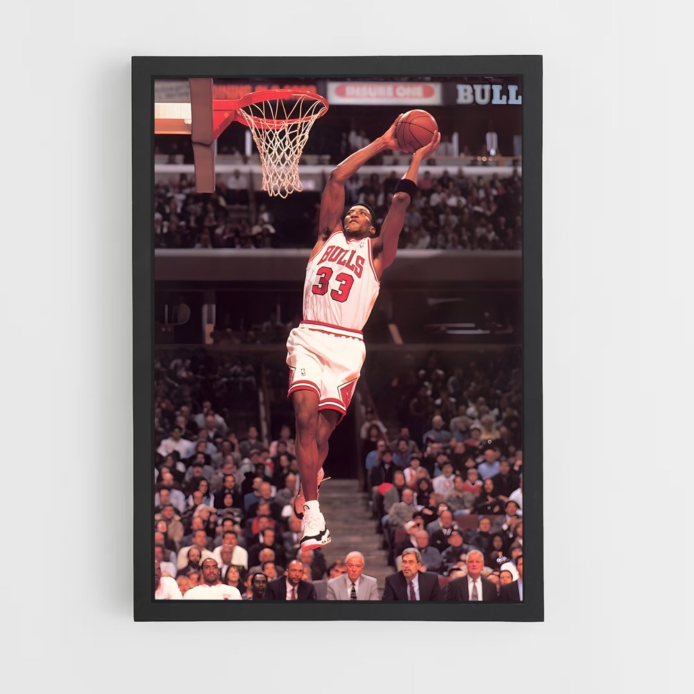 ap-scottie pippen-2 cadre Noir