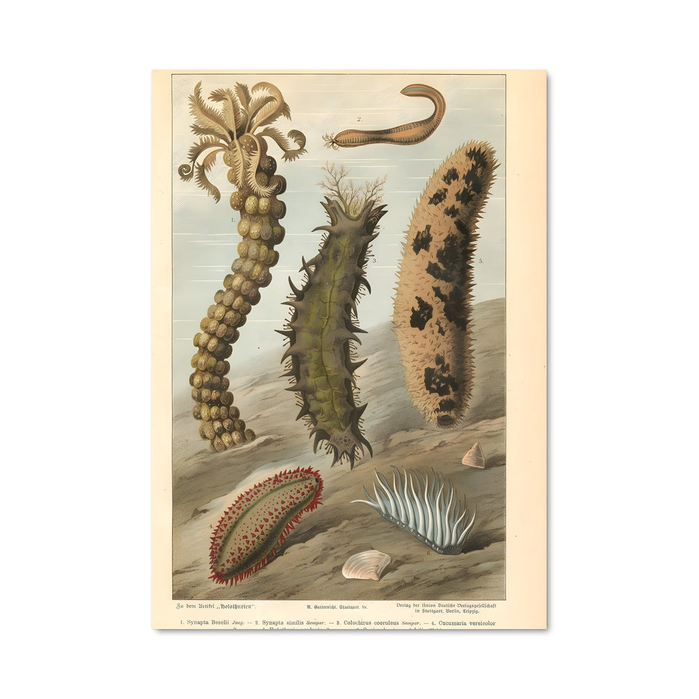 Poster L'Ombre des Urchins