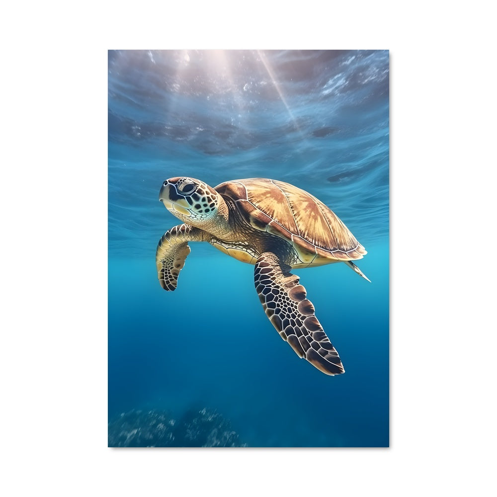 Poster Sea turtle 84310