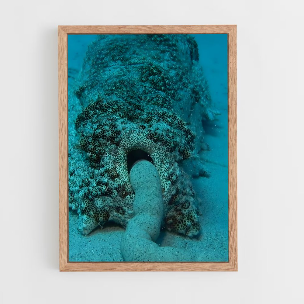 ap-sea cucumber-1 cadre Bois clair
