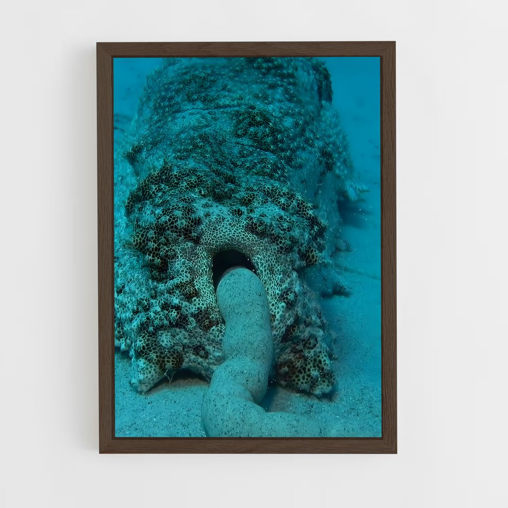 ap-sea cucumber-1 cadre Bois foncé
