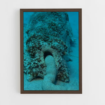 ap-sea cucumber-1 cadre Bois foncé