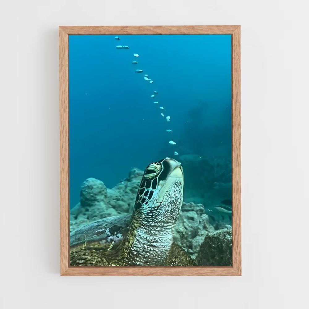 ap-sea turtle-14 cadre Bois clair