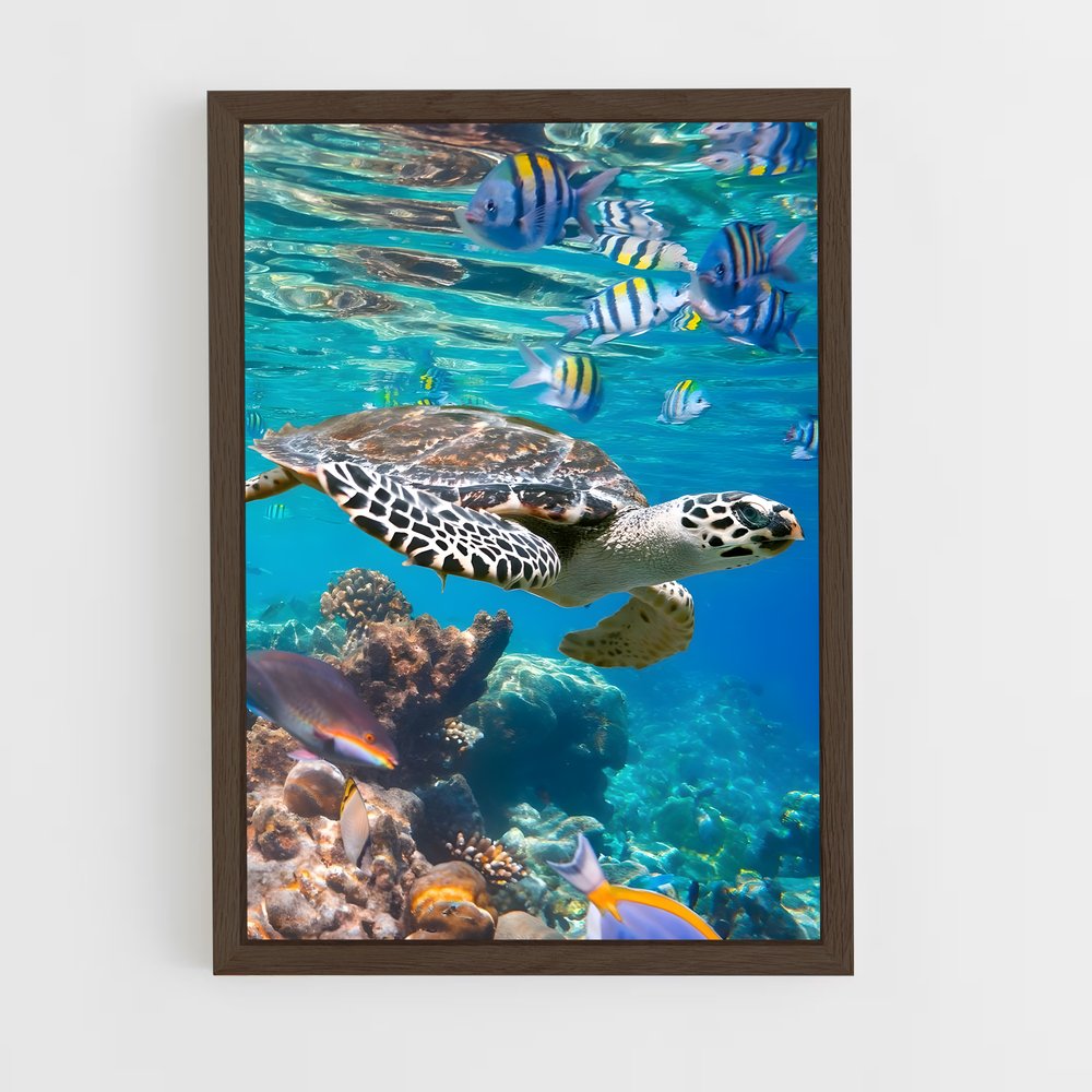 ap-sea turtle-15 cadre Bois foncé