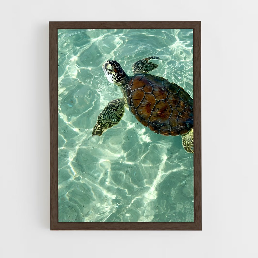 ap-sea turtle-4 cadre Bois foncé