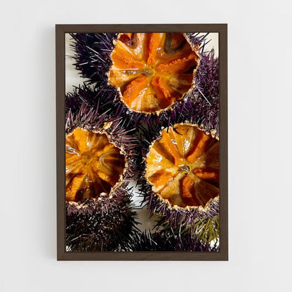 ap-sea urchin-1 cadre Bois foncé