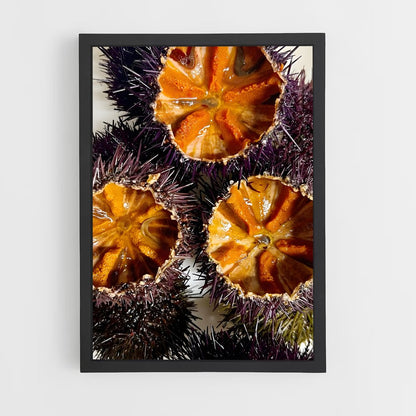 ap-sea urchin-1 cadre Noir