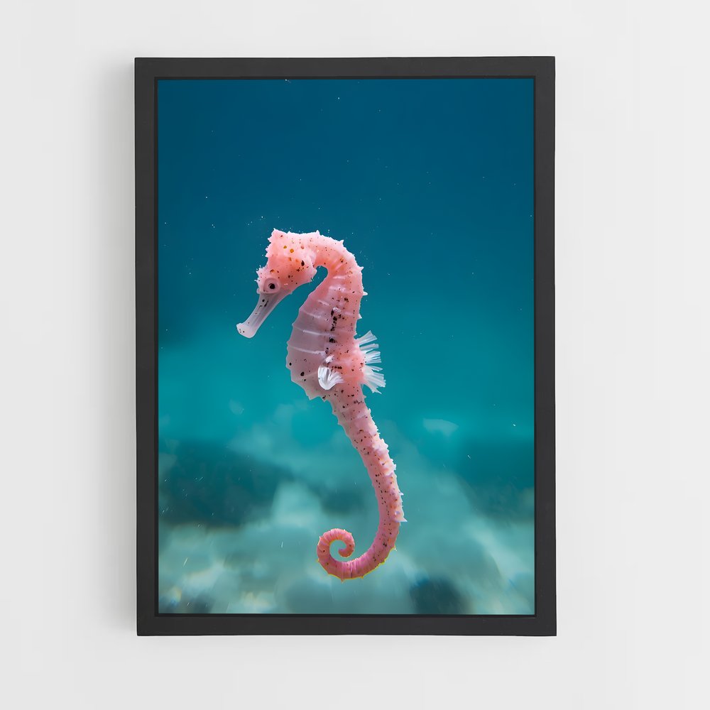 ap-seahorse-1 cadre Noir