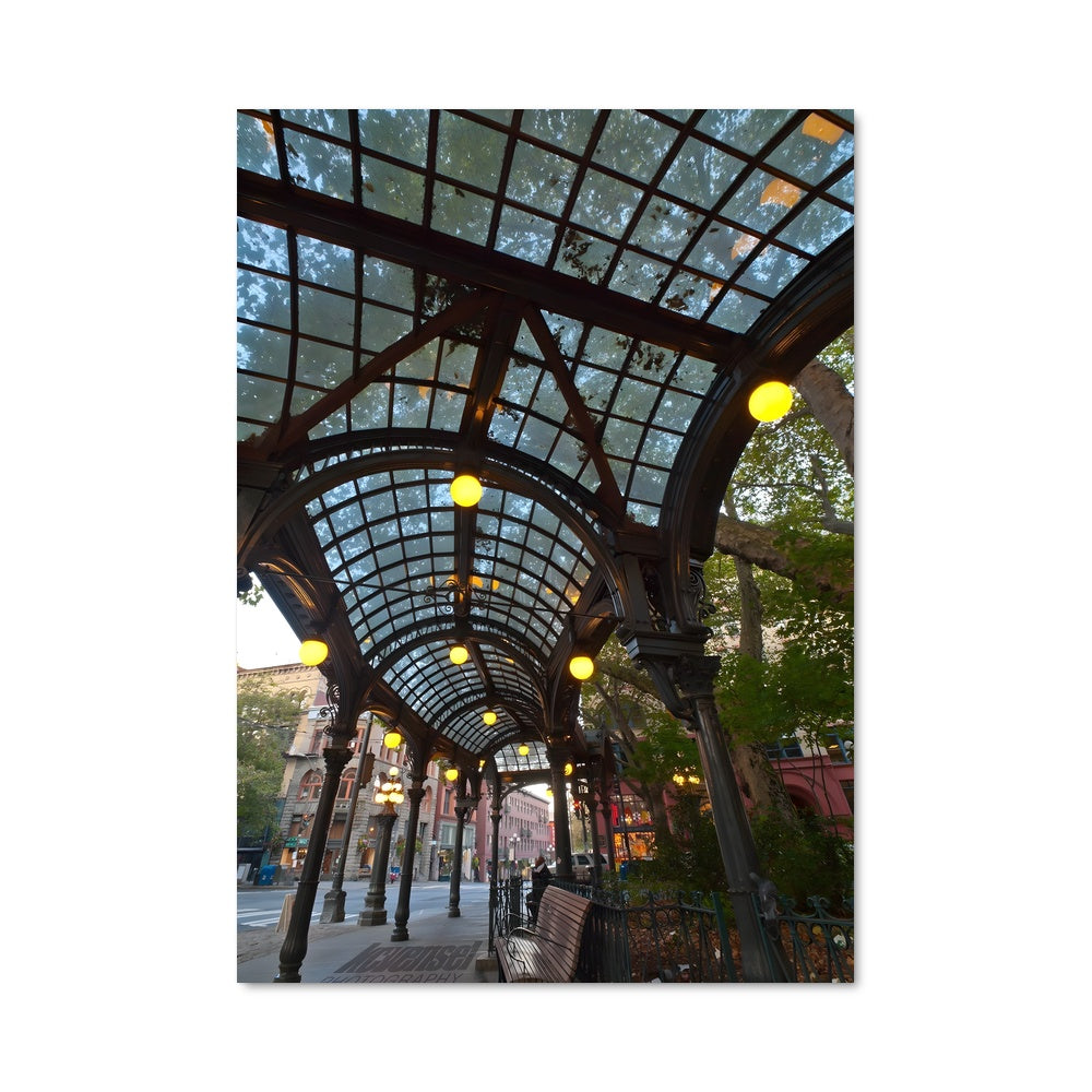 Poster Seattle Canopy Dream