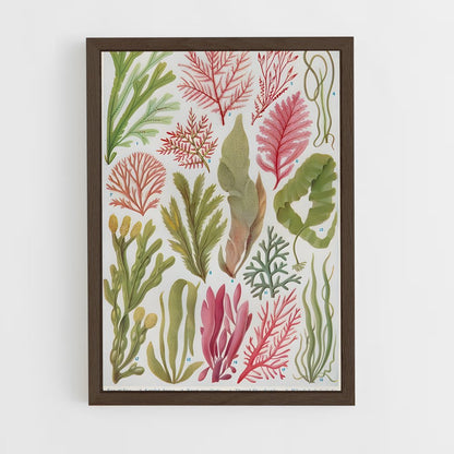 ap-seaweed-4 cadre Bois foncé