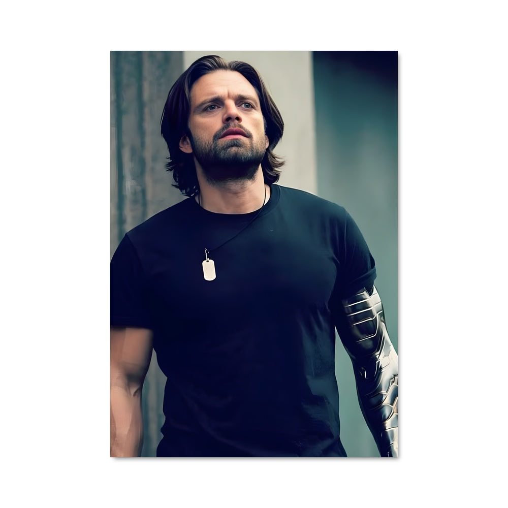 Poster The Winter Soldier