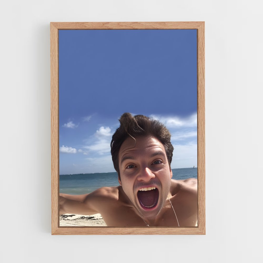 ap-sebastian stan-5 cadre Bois clair