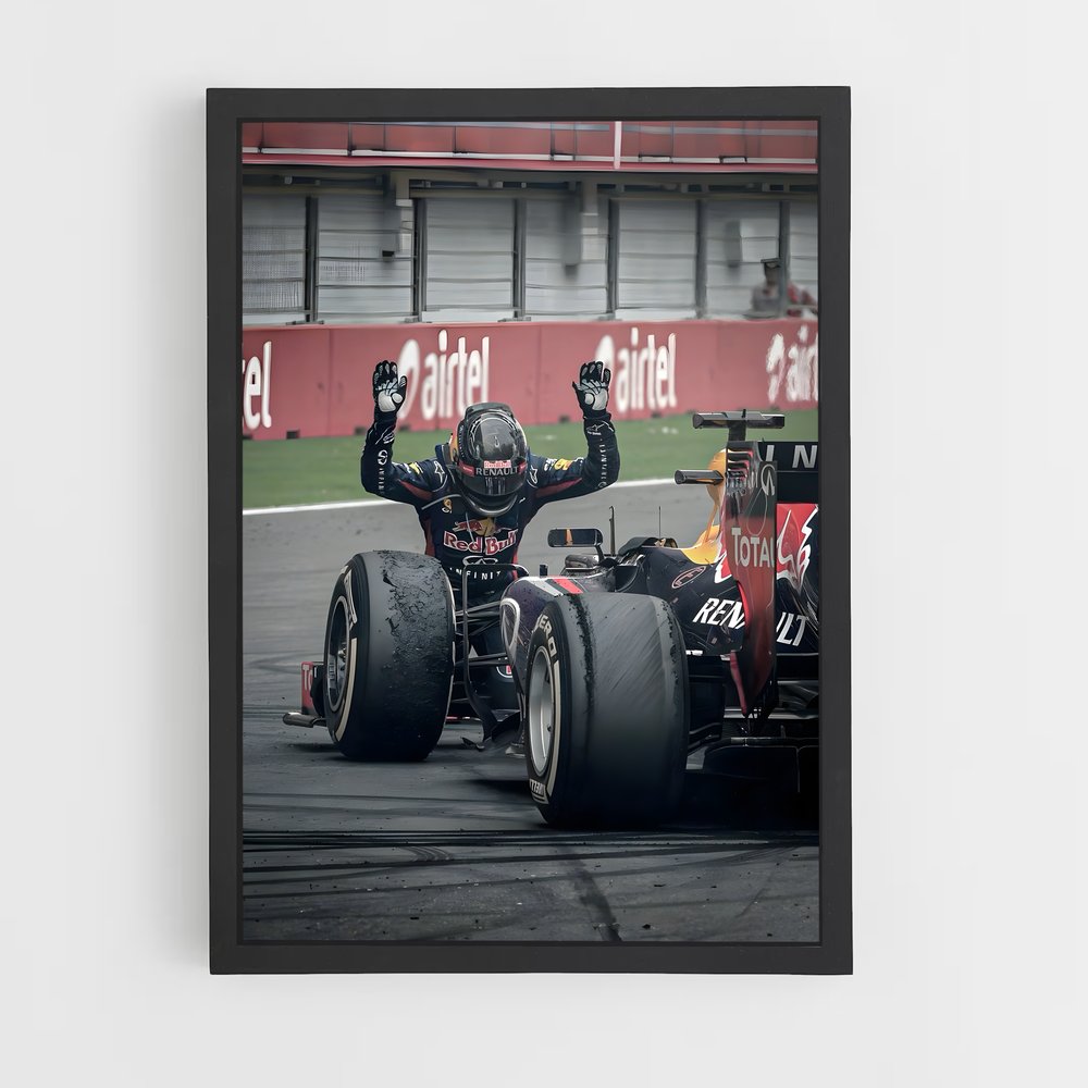 ap-sebastian vettel-1 cadre Noir