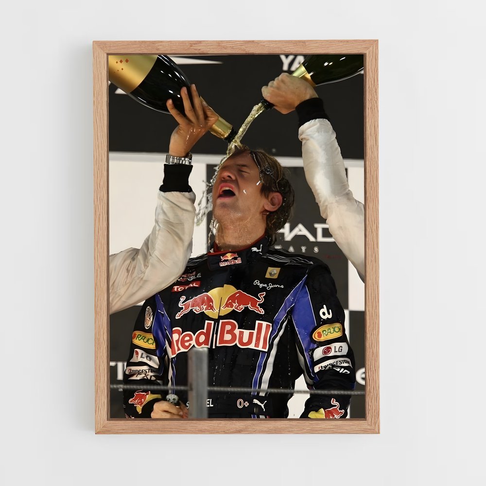 ap-sebastian vettel-2 cadre Bois clair