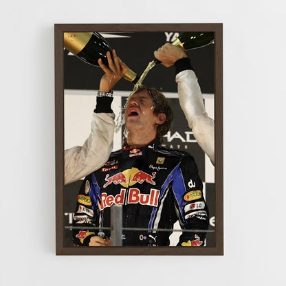 ap-sebastian vettel-2 cadre Bois foncé