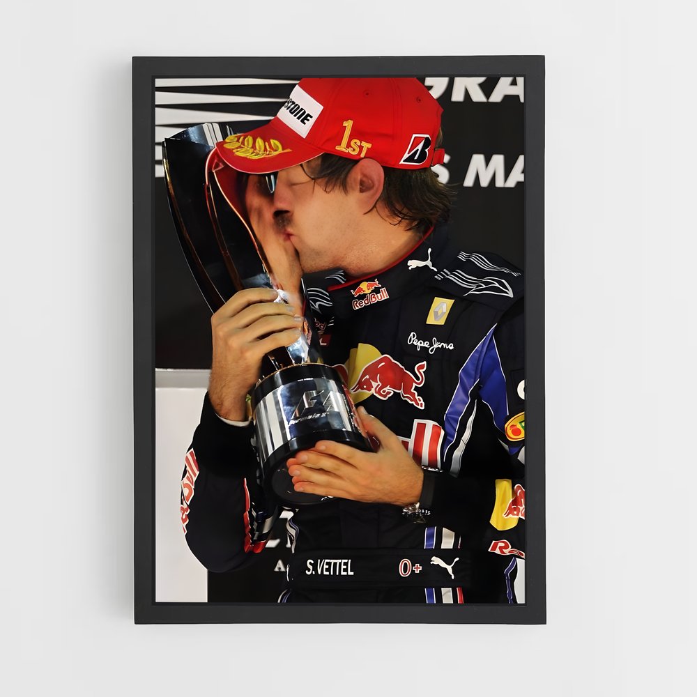 ap-sebastian vettel-3 cadre Noir