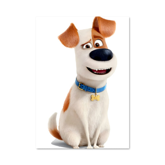 Poster Les Secrets de nos Animaux
