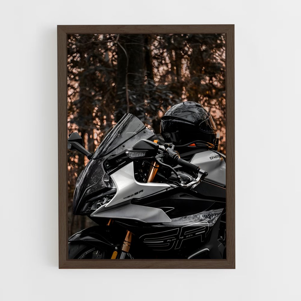 ap-sef-r 450-2 cadre Bois foncé