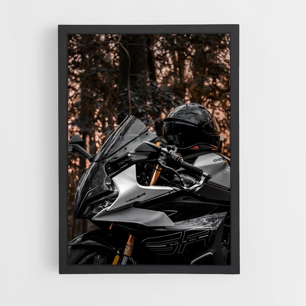 ap-sef-r 450-2 cadre Noir